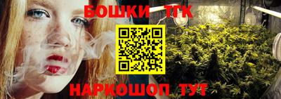 бошки Гатчина