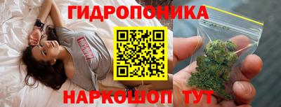 бошки Гатчина