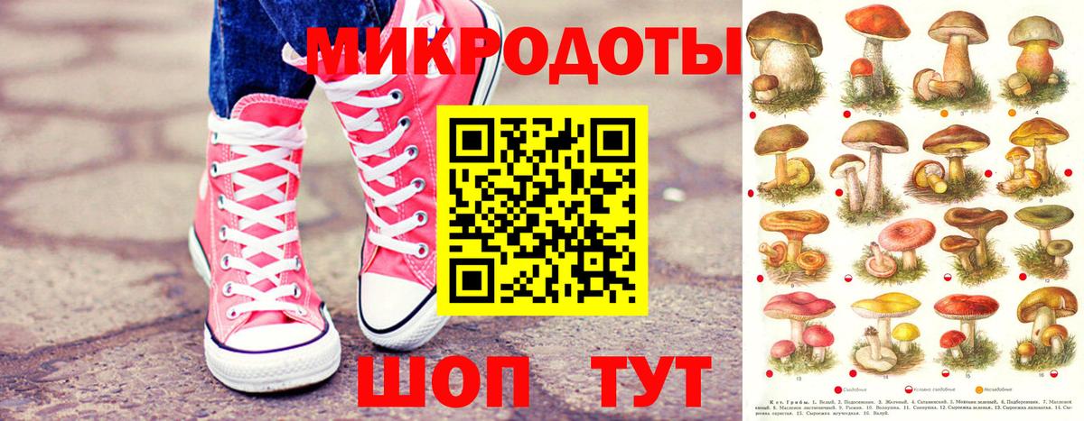 Улан-Удэ  Галлюциногенные грибы прущие грибы  Вход с VPN 